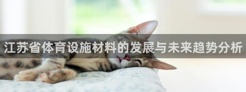 意昂4集团官网网址：江苏省体育设施材料的发展与未来趋势分析